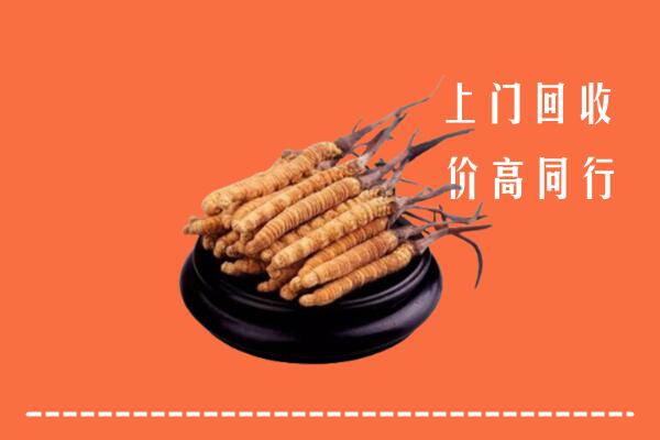 高价求购：平江县回收散虫草