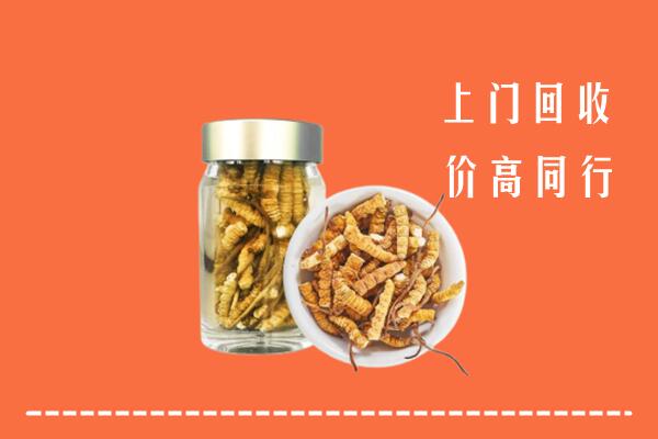 平江县回收冬虫夏草