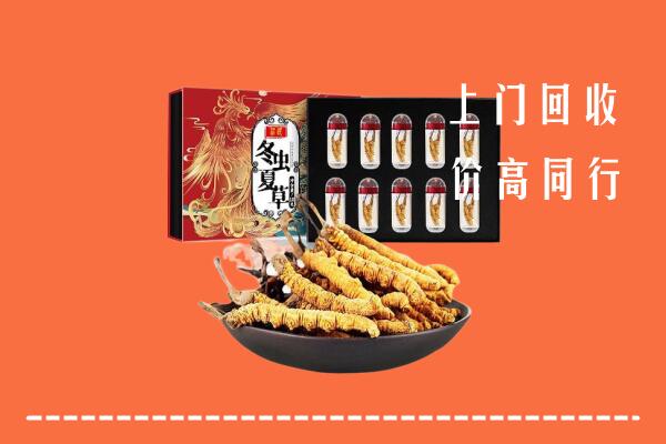 平江县回收虫草